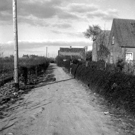 In%20't%20Land