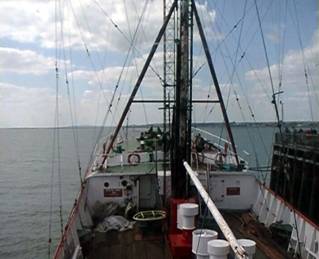 CAROLINE 34